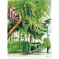 Canning Street - Trees